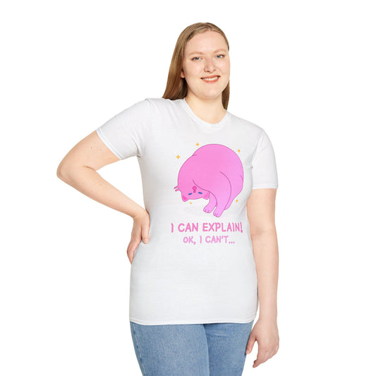 T-Shirt "I Can Explain It" | Women