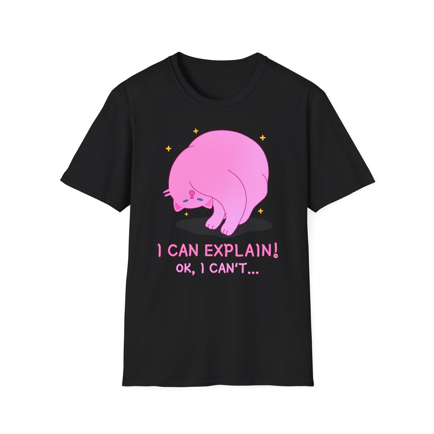 T-Shirt "I Can Explain It" | Women