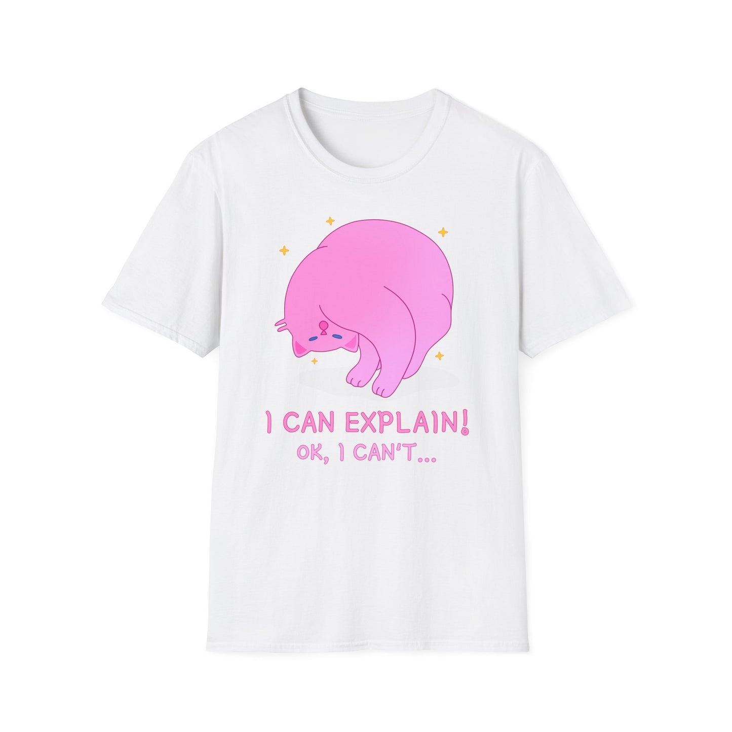 T-Shirt "I Can Explain It" | Women