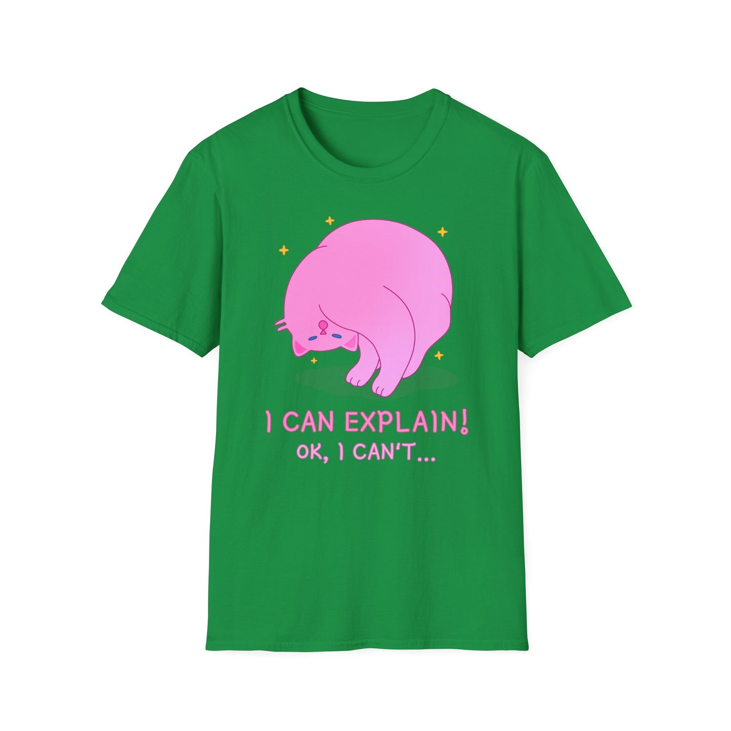 T-Shirt "I Can Explain It" | Women