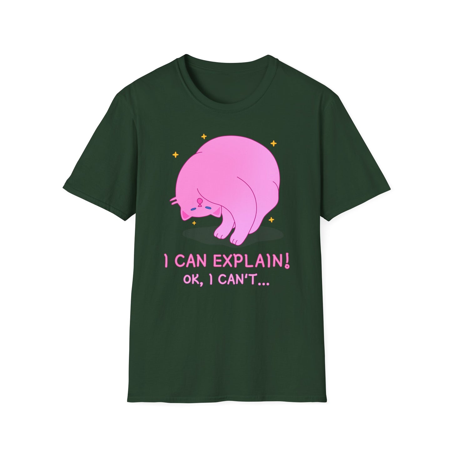 T-Shirt "I Can Explain It" | Women