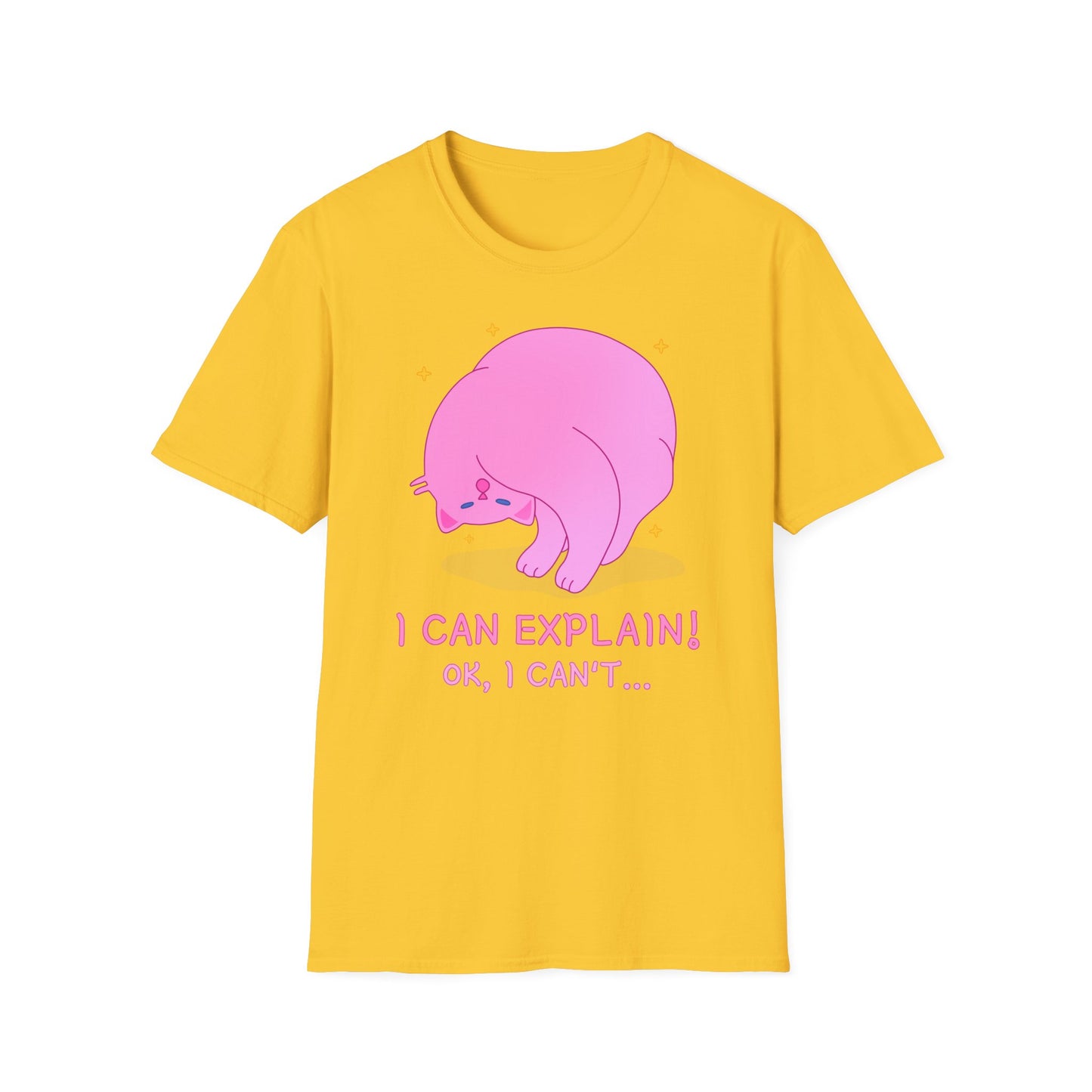 T-Shirt "I Can Explain It" | Women